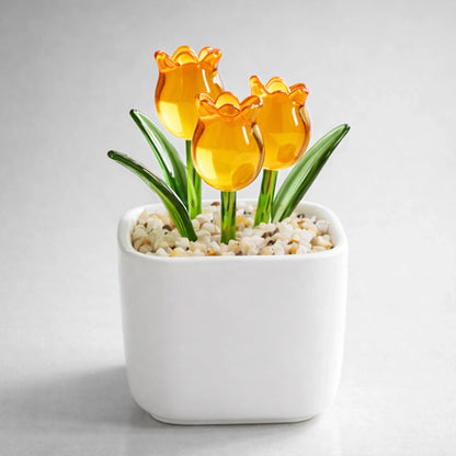 PREVIEW-1-SIDE-YELLOW
