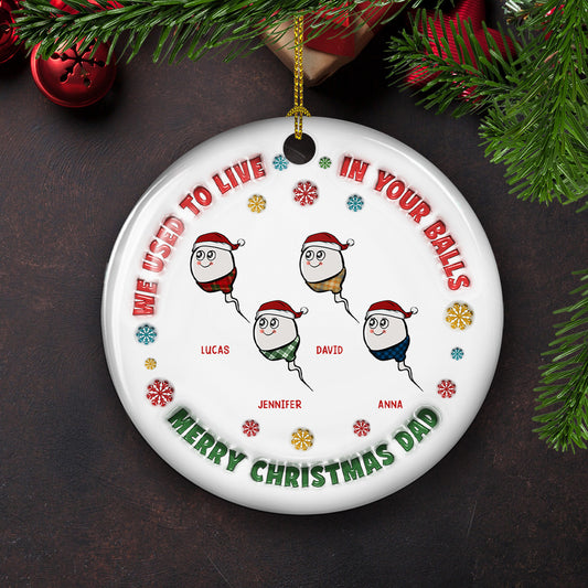 I Used To Live In Your Balls - Personalized Custom 3D Inflated Effect Ceramic Ornament