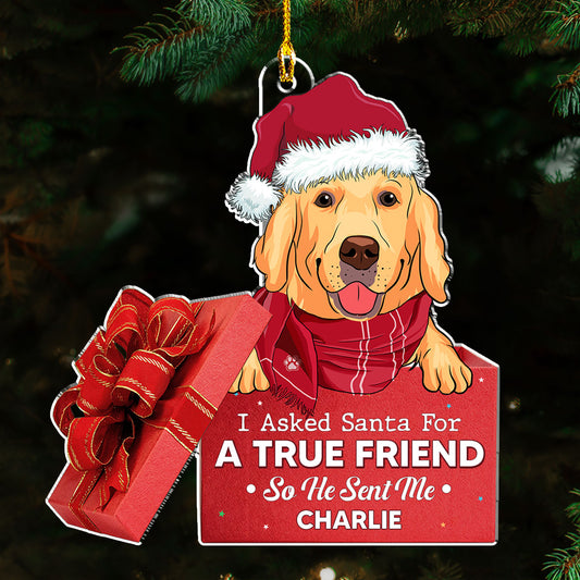 A True Friend - Personalized Custom Acrylic Ornament