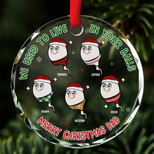 We Used To Live In Your Balls - Personalized Custom Glass Ornament