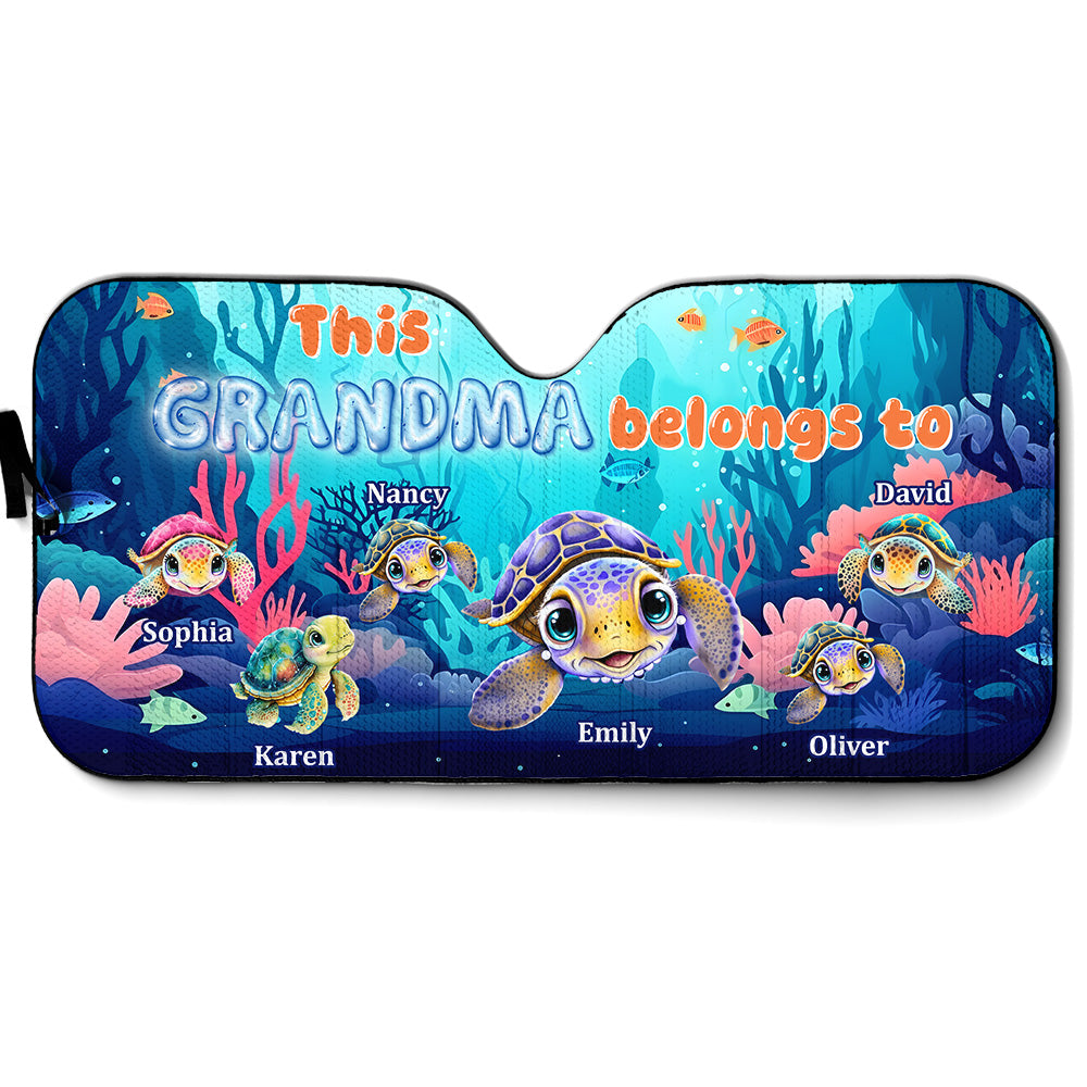 Car Sunshade